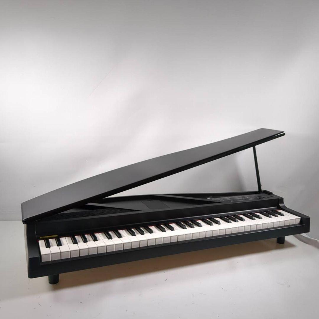 Korg Micro Piano 61鍵 電子ピアノ コルグ
