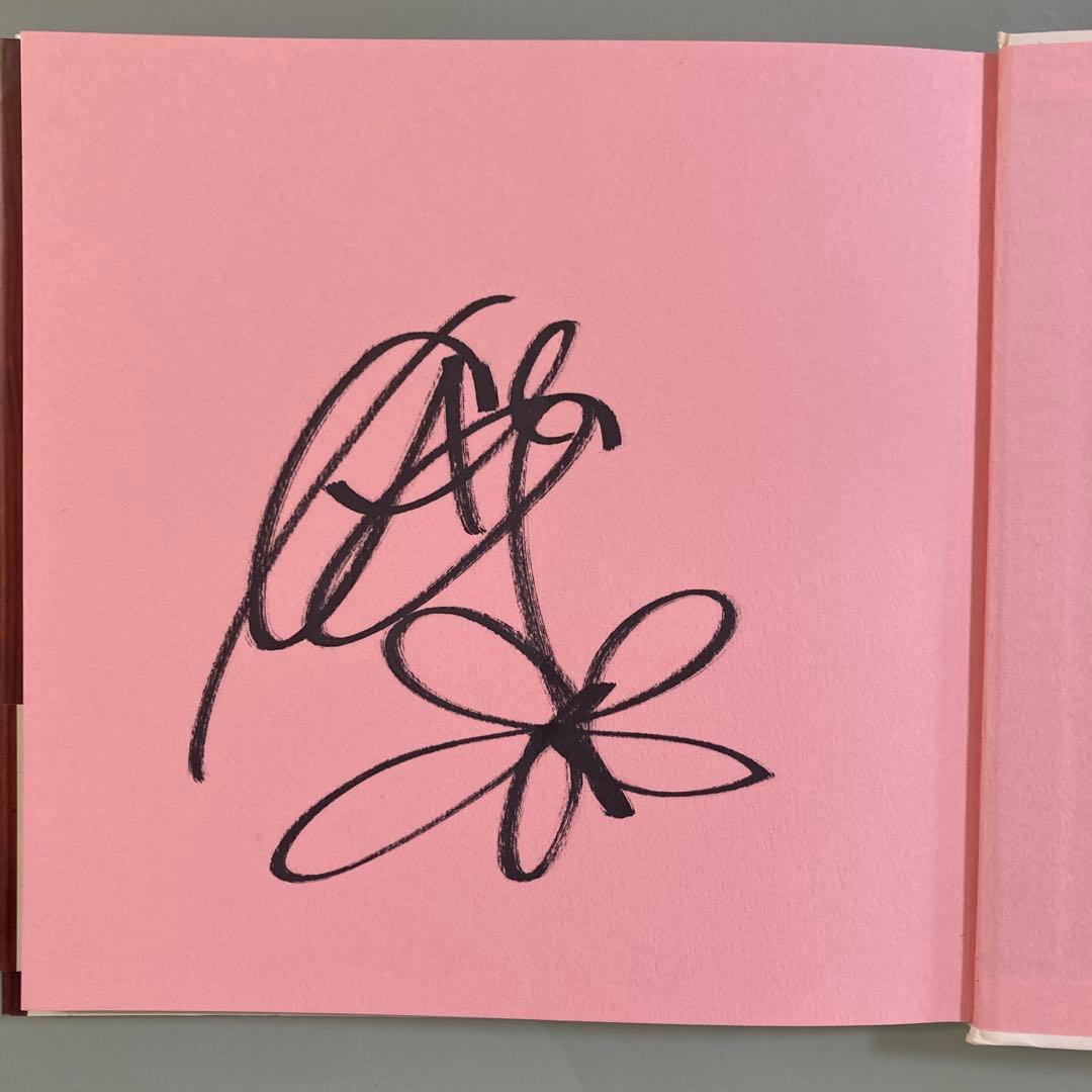 加藤あい直筆サイン入り写真集…帯付き