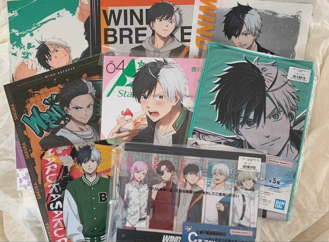 桜遥 クリアファイル 雑誌 wind breaker