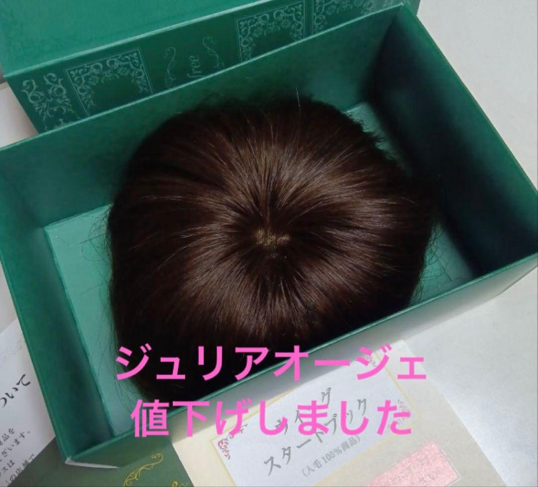 値下げしました　ジュリアオージェ　ポイントタイプウィッグ クロスフリー