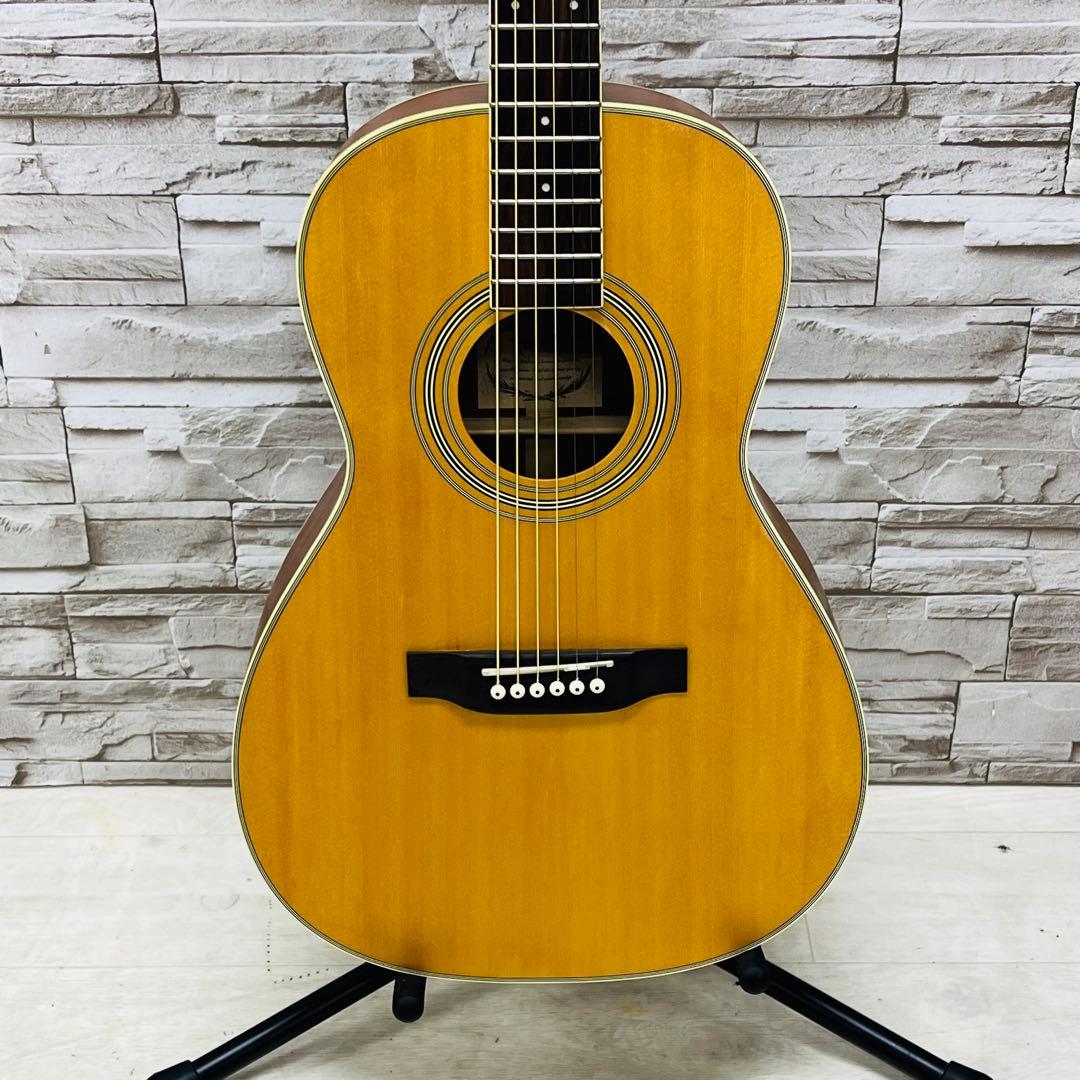 美品 Headway ヘッドウェイ アコースティックギター HCN-003