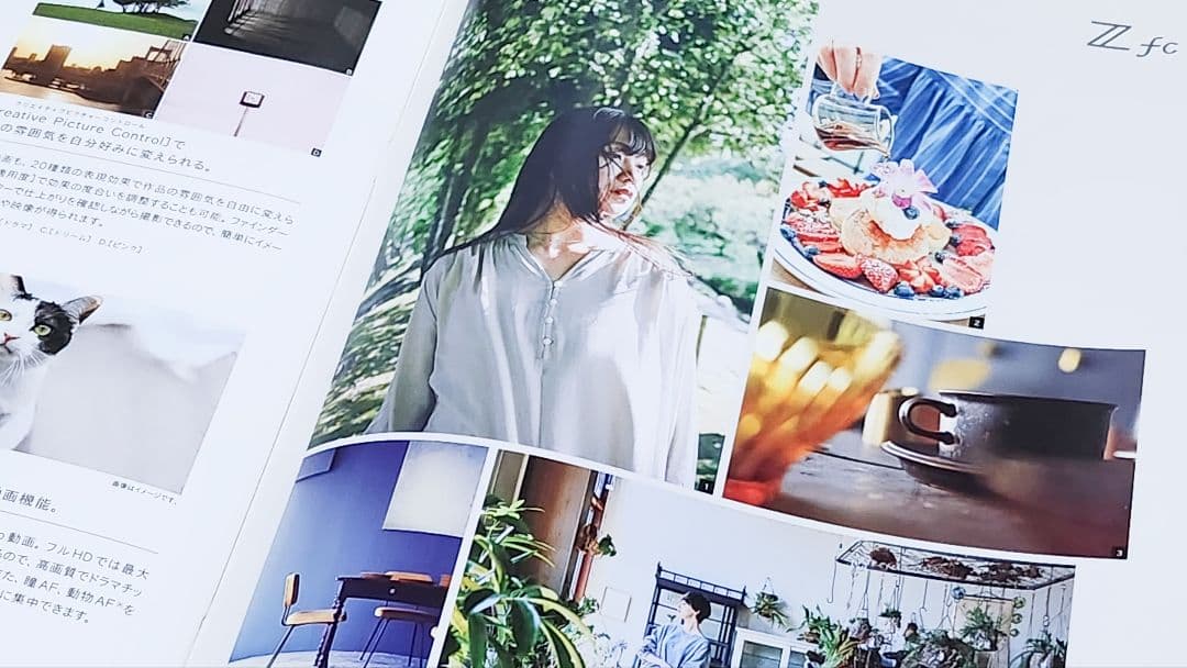 ✡ニコン Zfc ボディ シルバー 美品☆延長保証書有 使用少☆オマケ品有