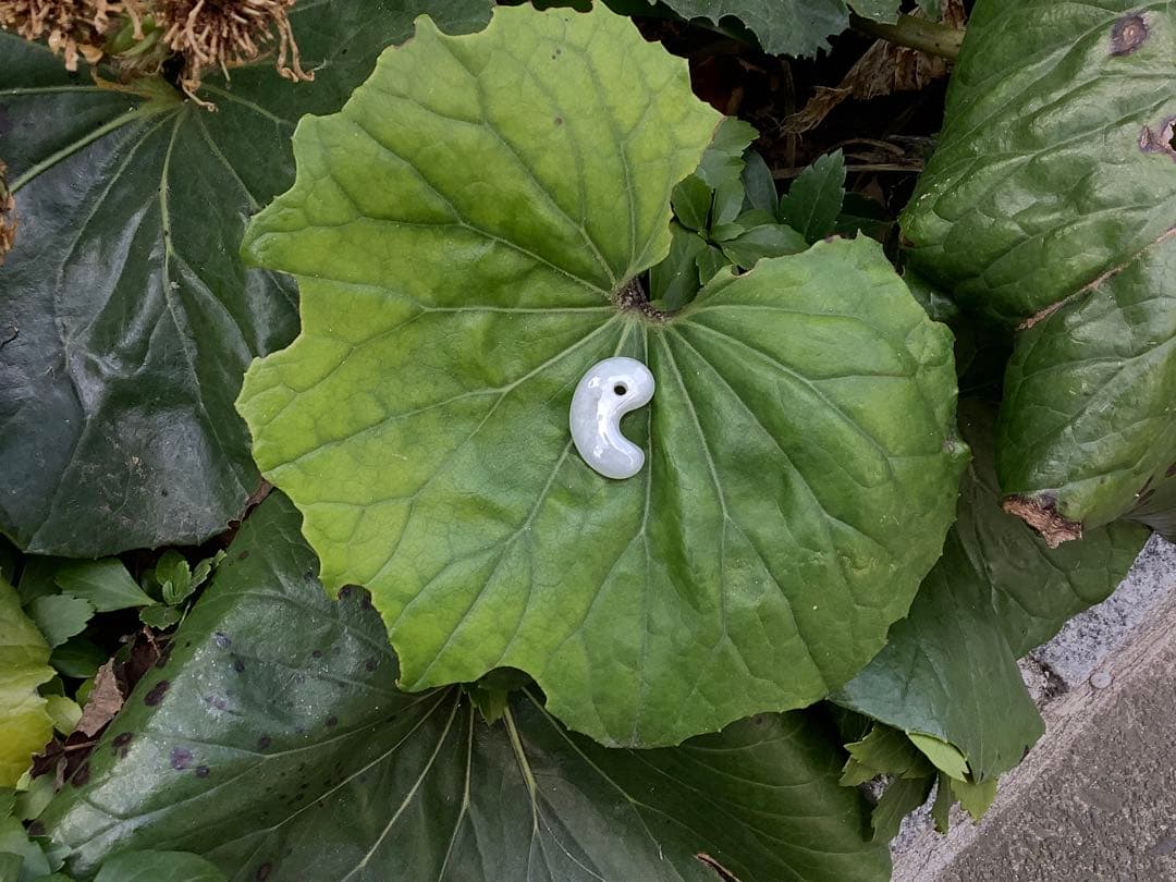 ✳お値段ご遠慮なく‼️高価糸魚川翡翠氷アイスジェイド勾玉　極上物　機械鑑定付本物‼️