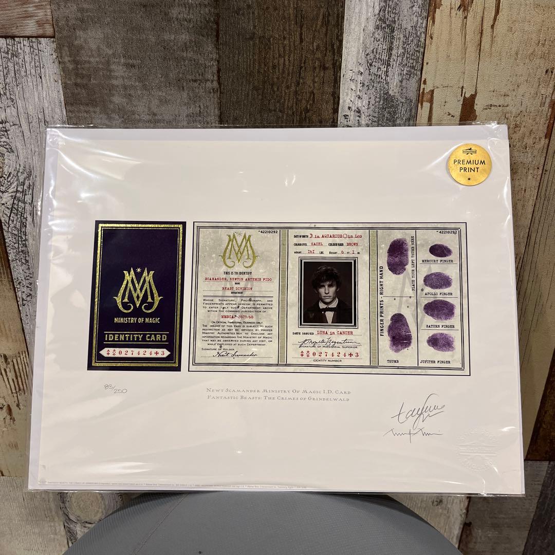 【世界限定250枚】ミナリマ 魔法省 IDカード 限定版 83/250