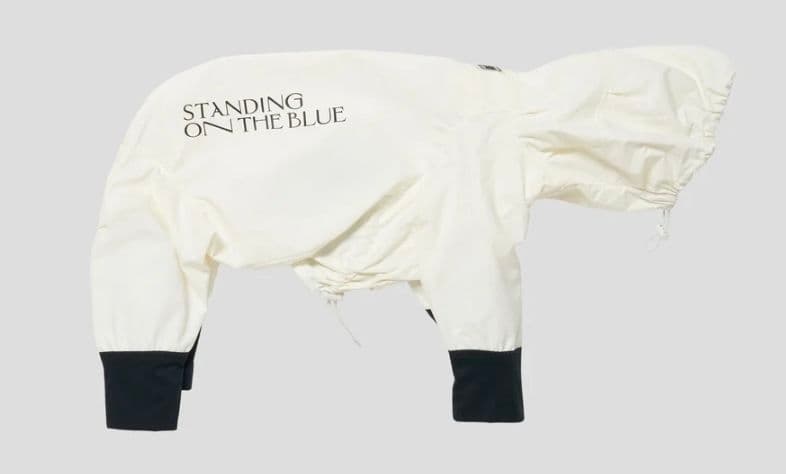 犬用レインコート/STANDING ON THE BLUE