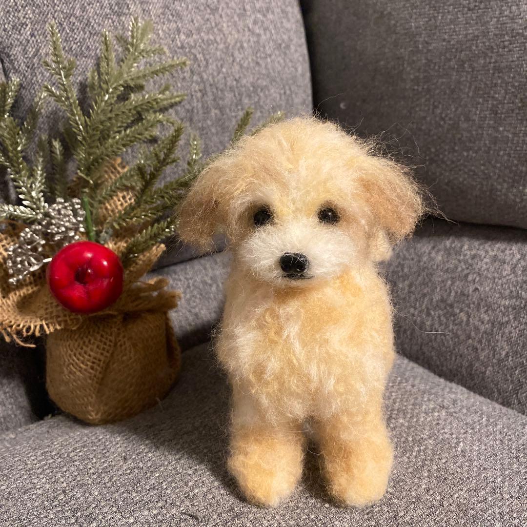 羊毛フェルト　マルプー　犬 オーダー商品