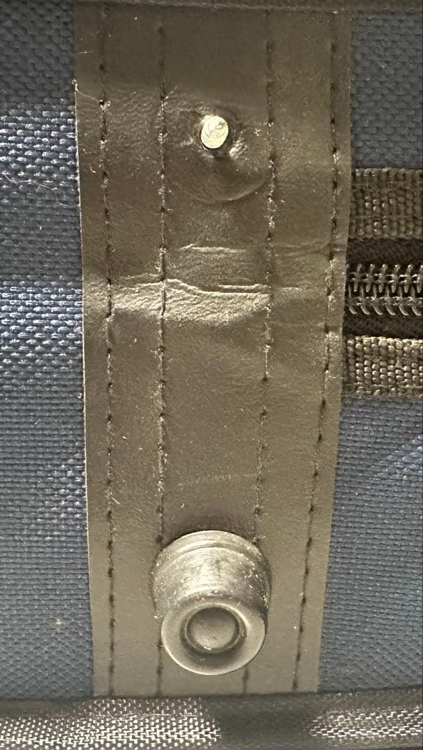 Carlo giordano バイオリン VS-0-44 4/4サイズ