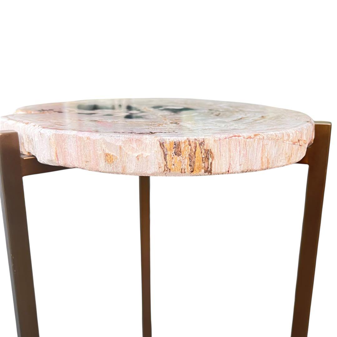 KAJA カジャ 木化石 サイドテーブル (H55)