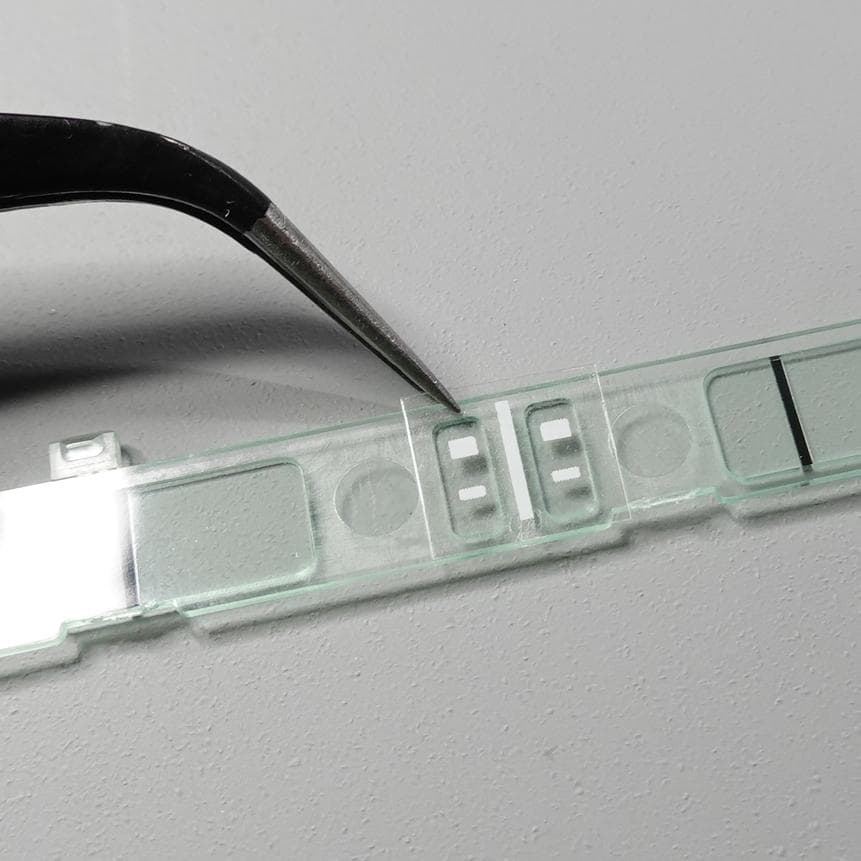 【Lou】EZドアステッカー　汎用B×10 C×6