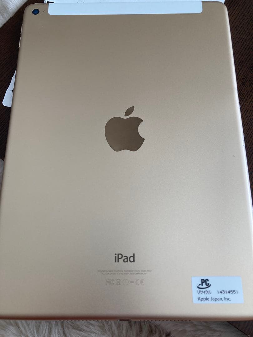 ゴールド iPad 本体