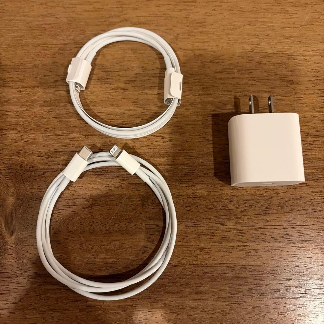 iPad Pro 12.9インチ　第1世代 WiFi 128GB スペースグレイ