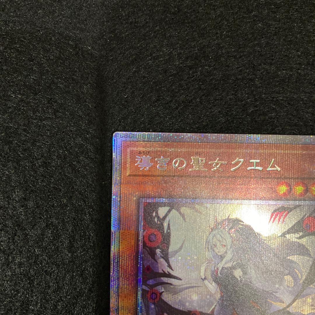 導きの聖女クエム　プリシク