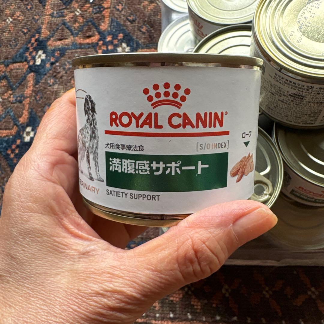  CANIN 満腹感サポート 21缶 犬用