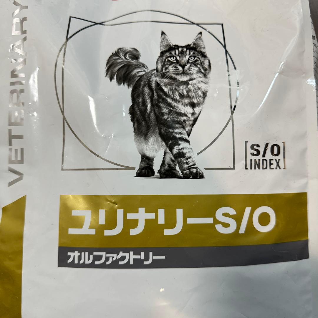 CANIN ユリナリーS/O オルファクトリー 4kg ロイヤルカナン