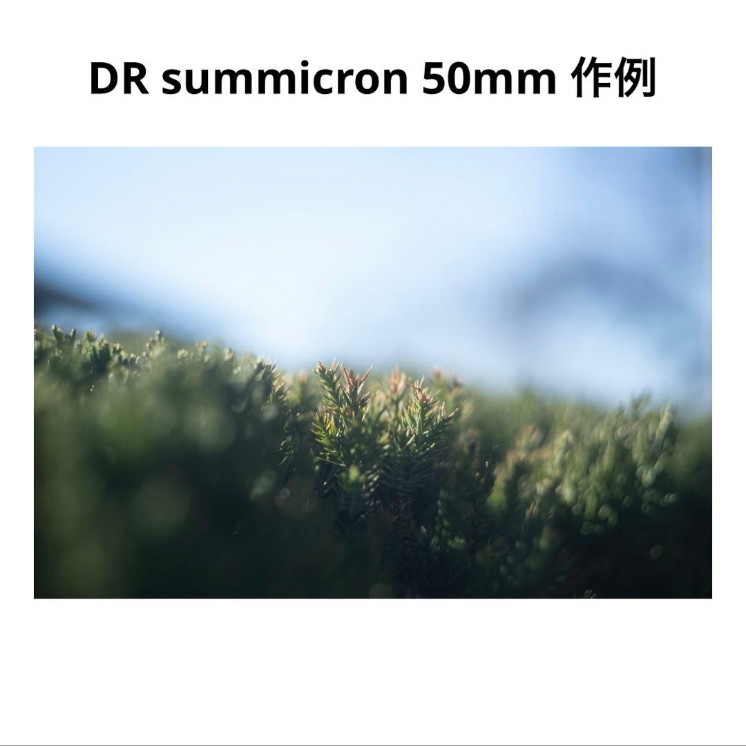 DR SUMMICRON M 50mm F2.0 おまけつき