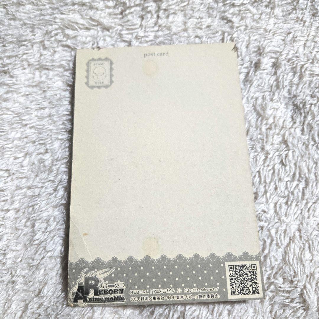 希少 家庭教師ヒットマンREBORN リボアニ ポストカード 雲雀恭弥