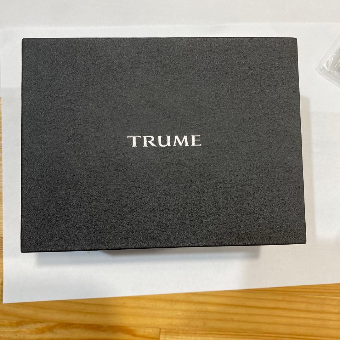 激レア　未使用品　定価23万円　SEIKO EPSON TRUME 腕時計