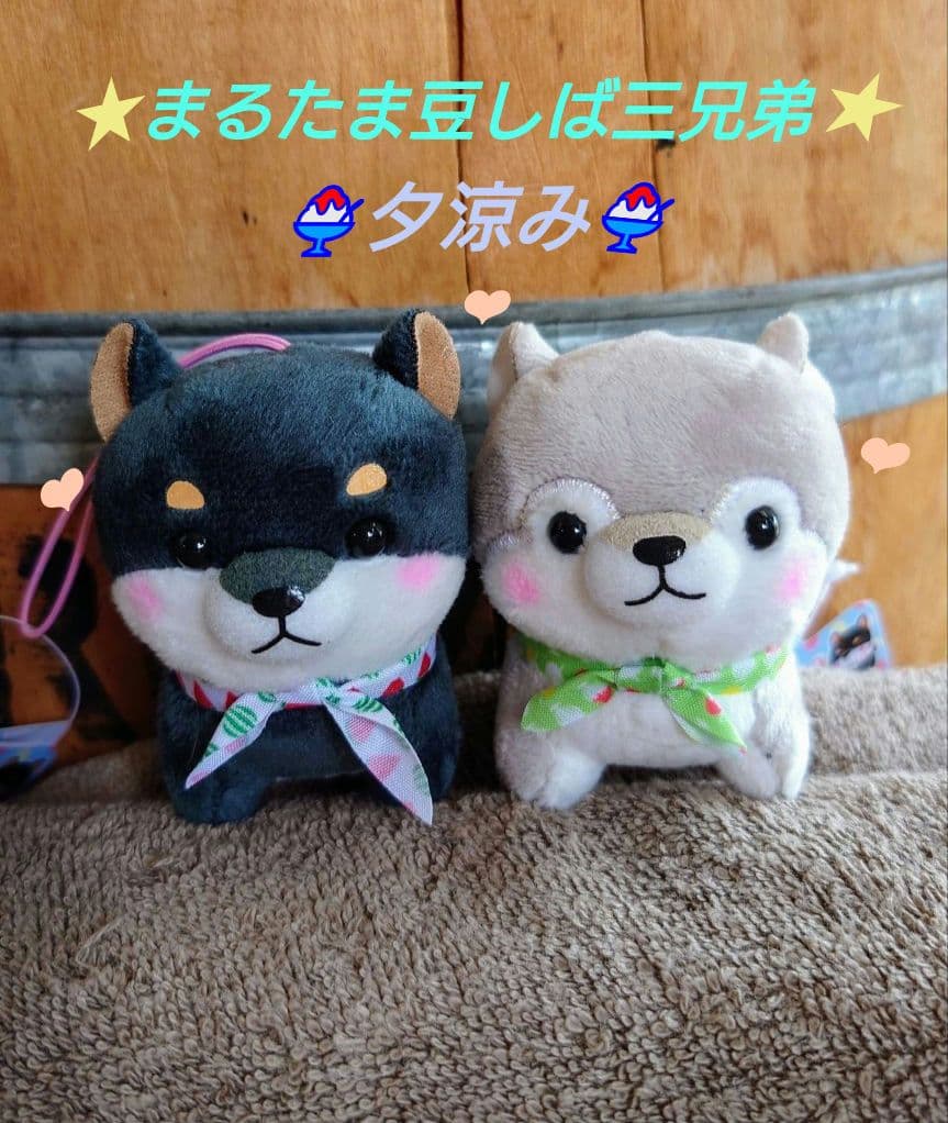 まるたま豆しば三兄弟【新作・新キャラ含】VMCセット