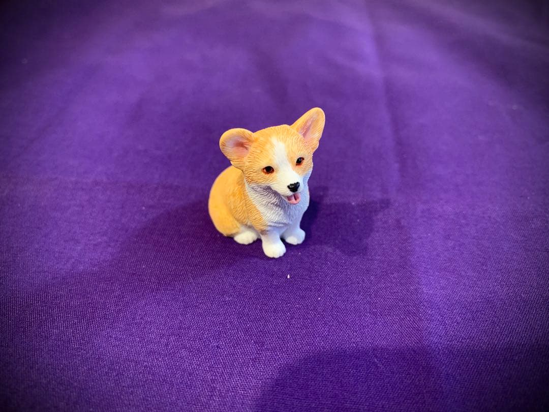 【AA級呪物】金運上昇・財運呼び寄せの聖犬「セントヘレナ」