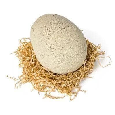 人気！ タカラトミー うまれて！ウーモ ジュラシックワールド T-レックスエッグ