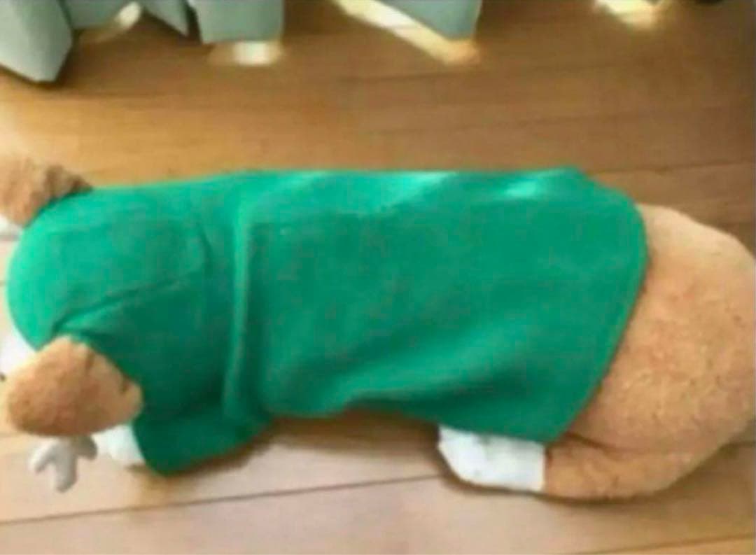 コーギー　ぬいぐるみ