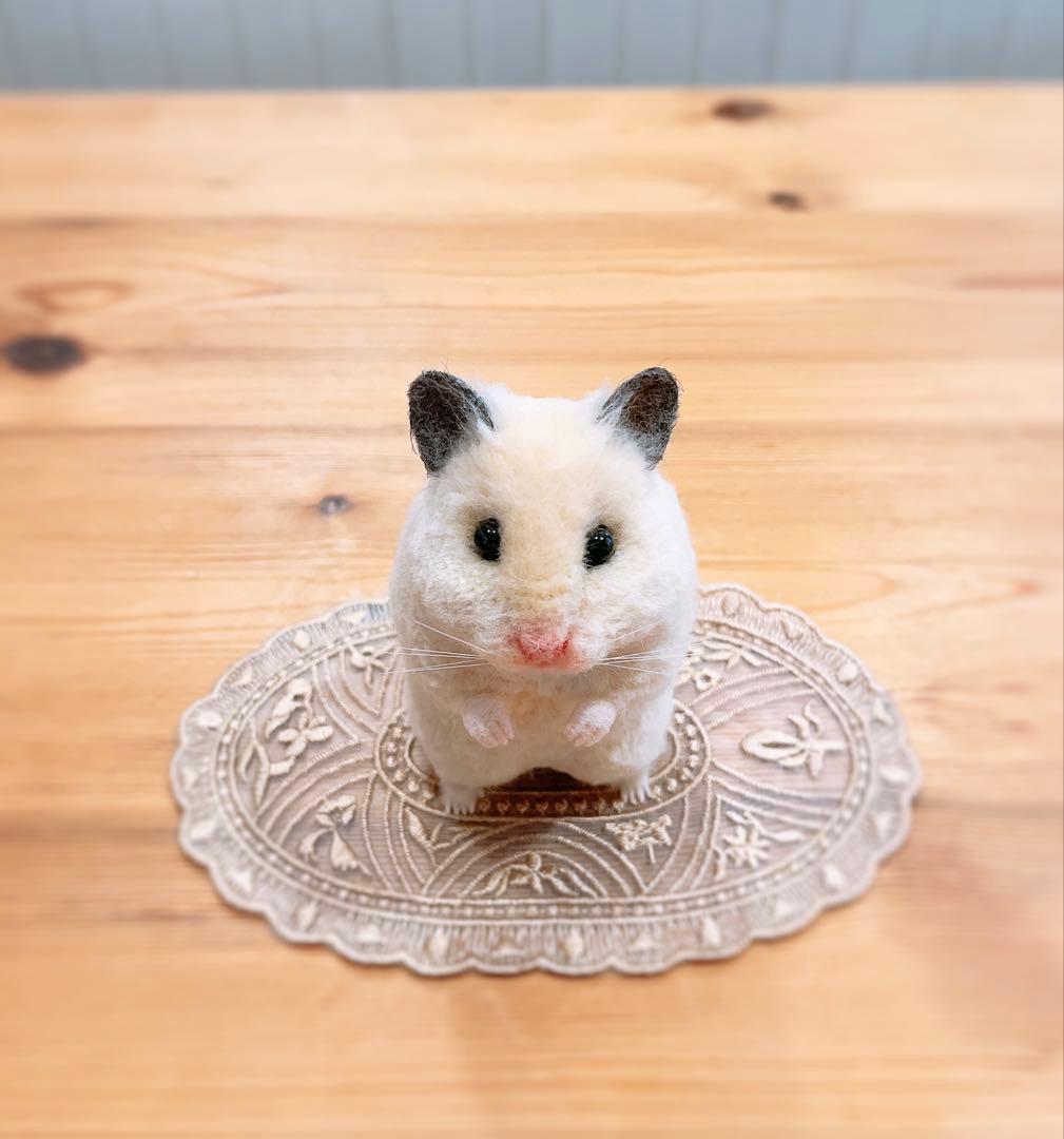 ｓｈｉ