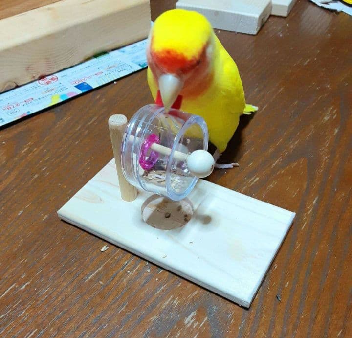 D33　⭐　ミラーボードとフォージングトイセット(大)⭐　インコ　バードトイ