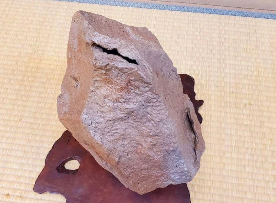 （No122）山野草　水草　鉢　龍聖作　令6