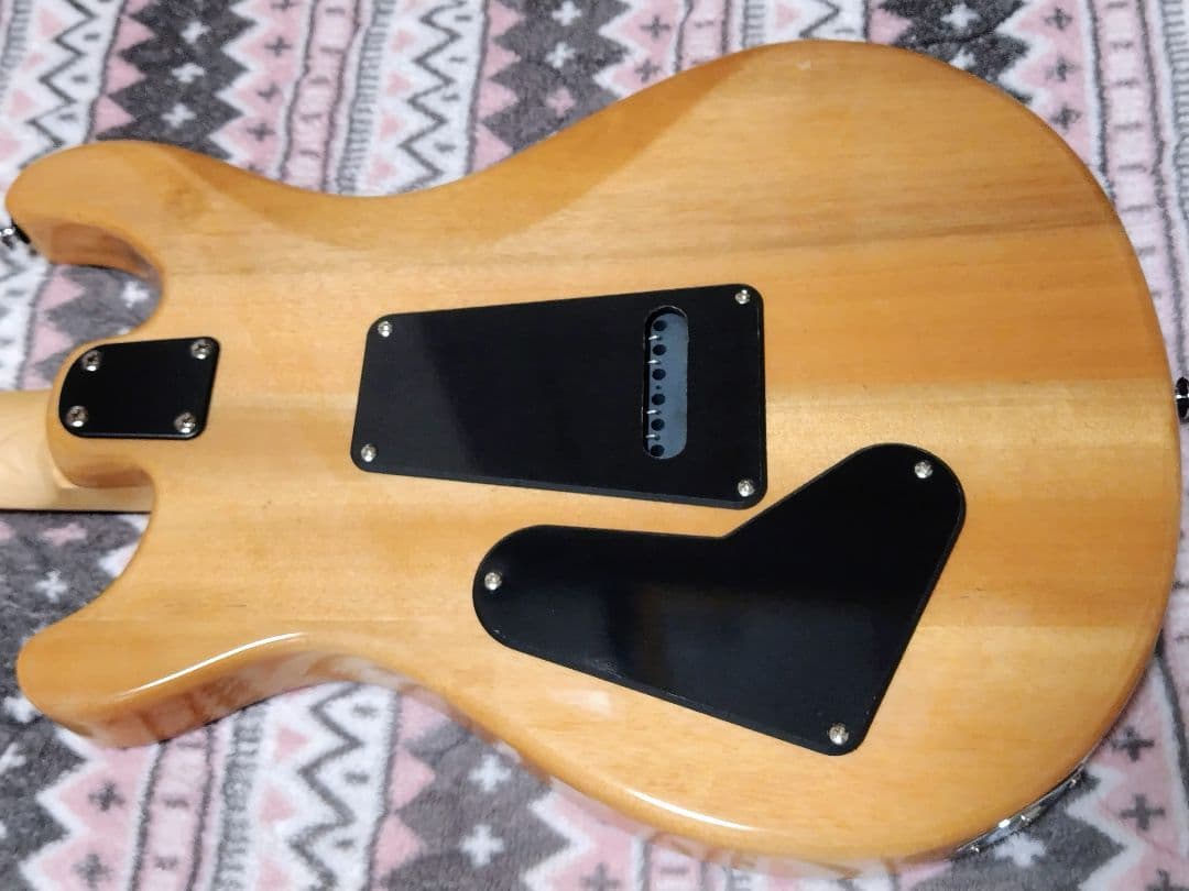 ギター Paul Reed Smith PRS SE CE 24