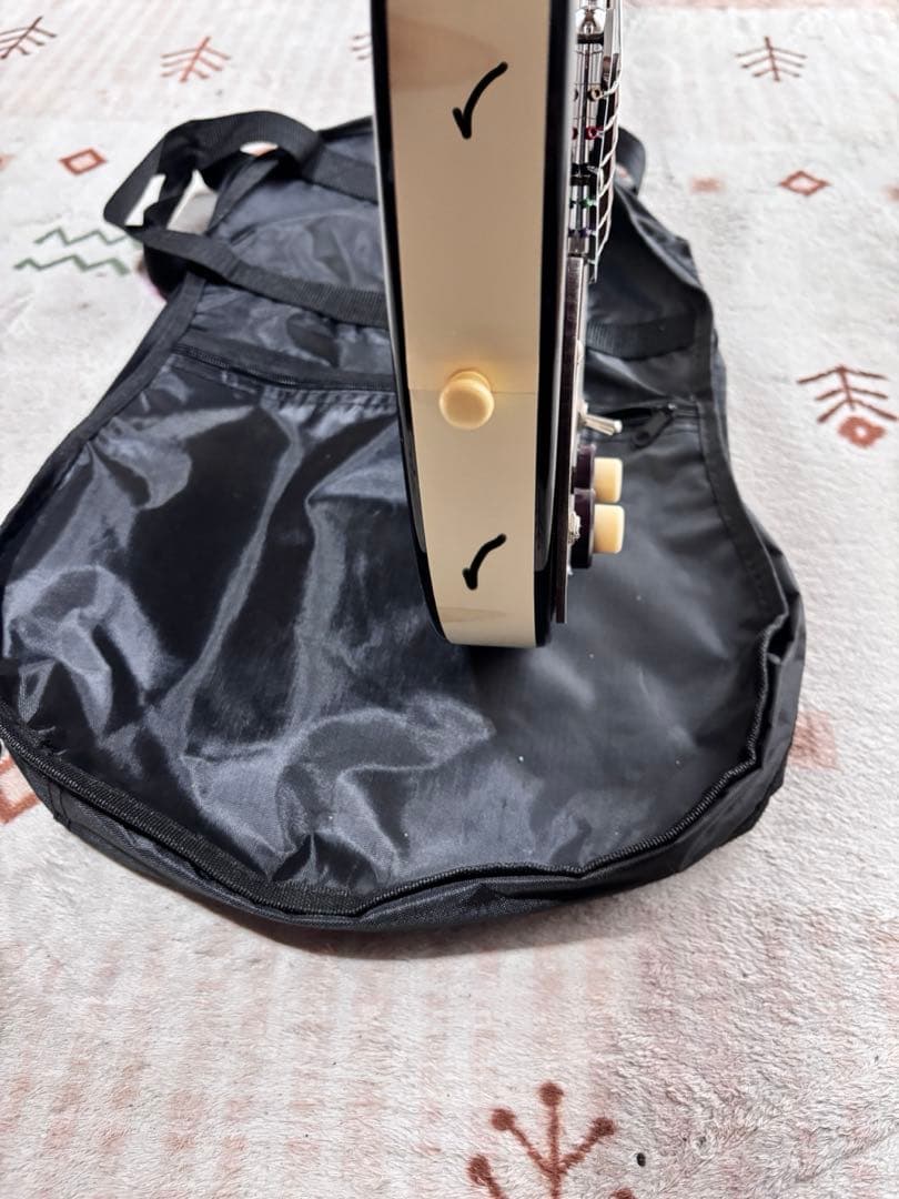 超美品！メンテナンス済み　Danelectro 59 DC