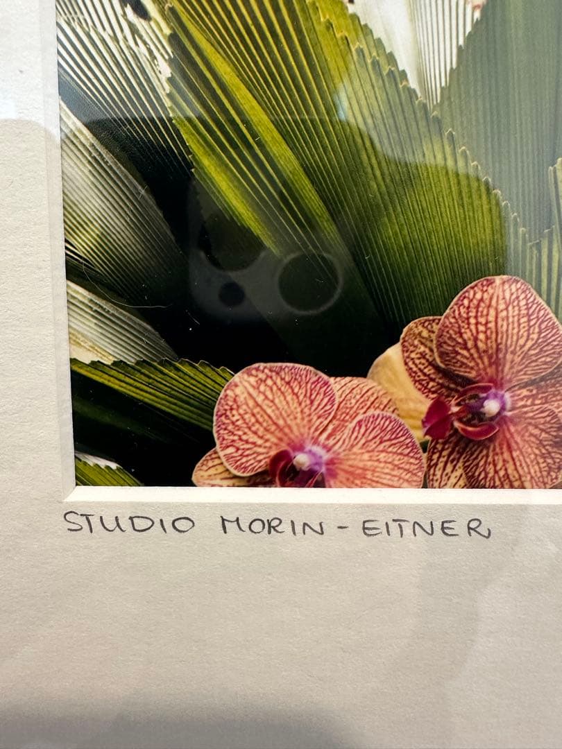 【YellowKorner 】No.1フォトアート STUDIO MORIN