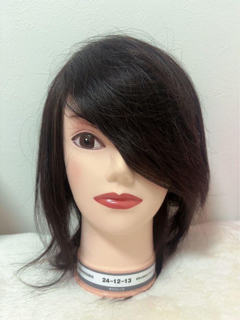 【新品未使用】美容師国家試験 本番用カットウィッグ 24-12-13 三矢 5頭