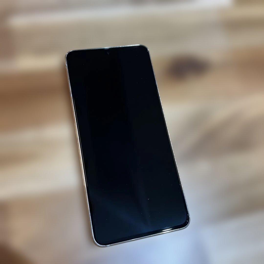 ひーちゃん　Z231 ドコモ　Galaxy S21 5G SC-51B