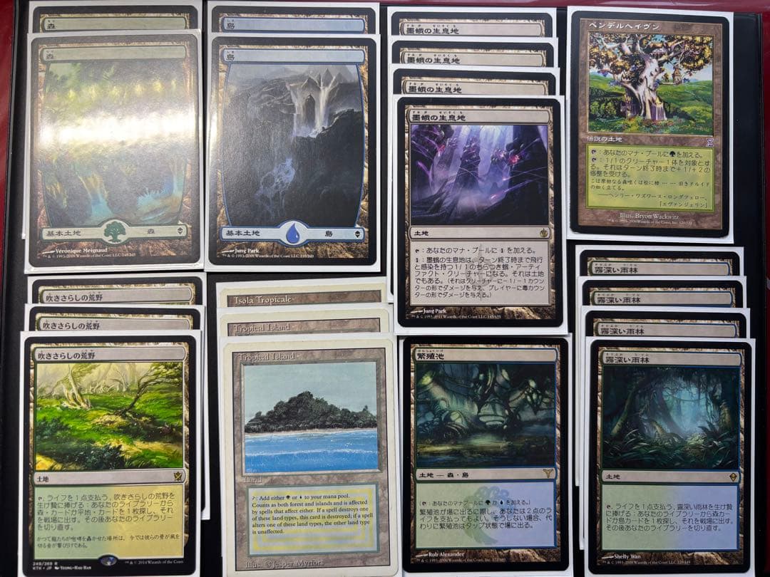 【レガシーデッキ】感染/Infect 61枚デッキ！　サイドボードなし