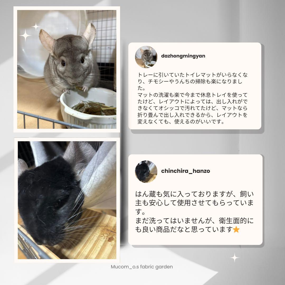 J様専門