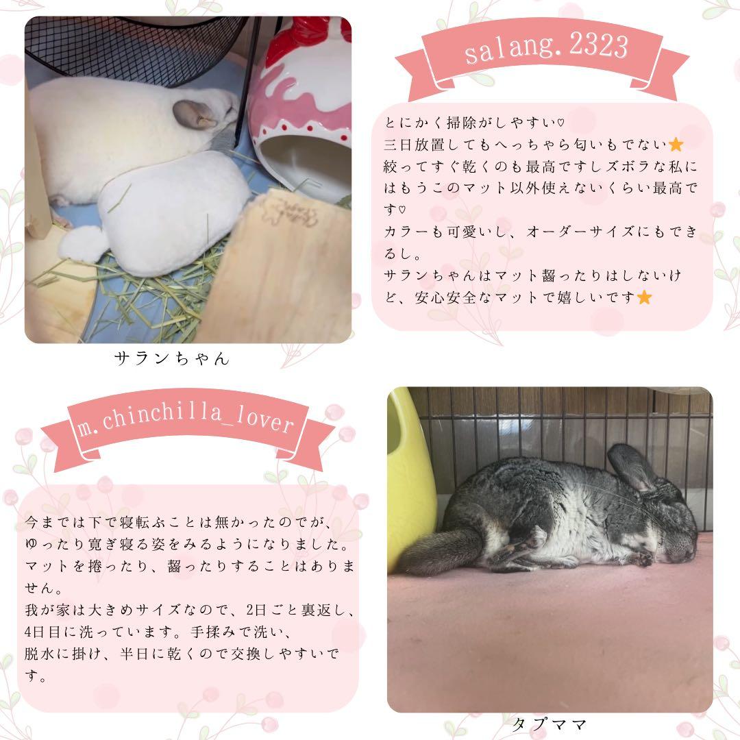 J様専門