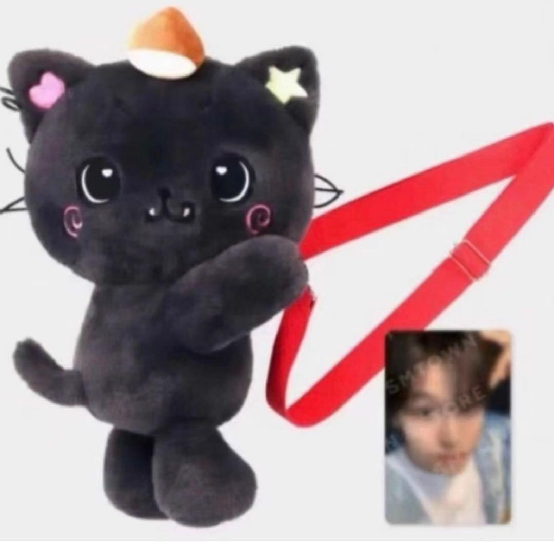 nct wish リク　キャラクターバッグ　ソウルコン MD カバン　クリ