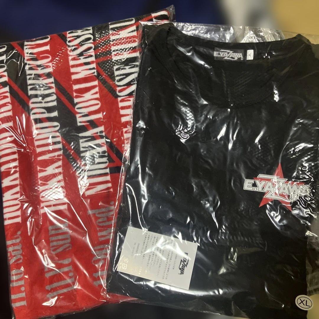 fighton 2024 長袖Tシャツ&スペシャルビーチタオル（スケジュール）