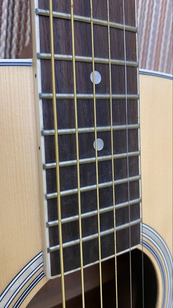 Orangewood T110 NS アコースティックギター
