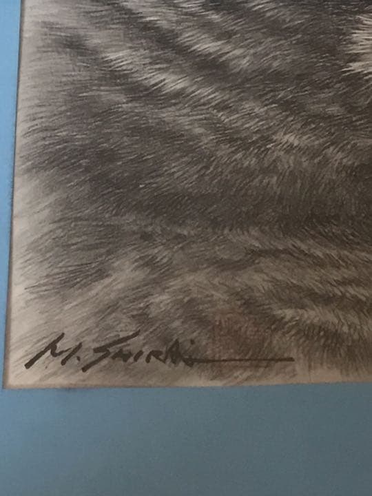 鉛筆画　猫