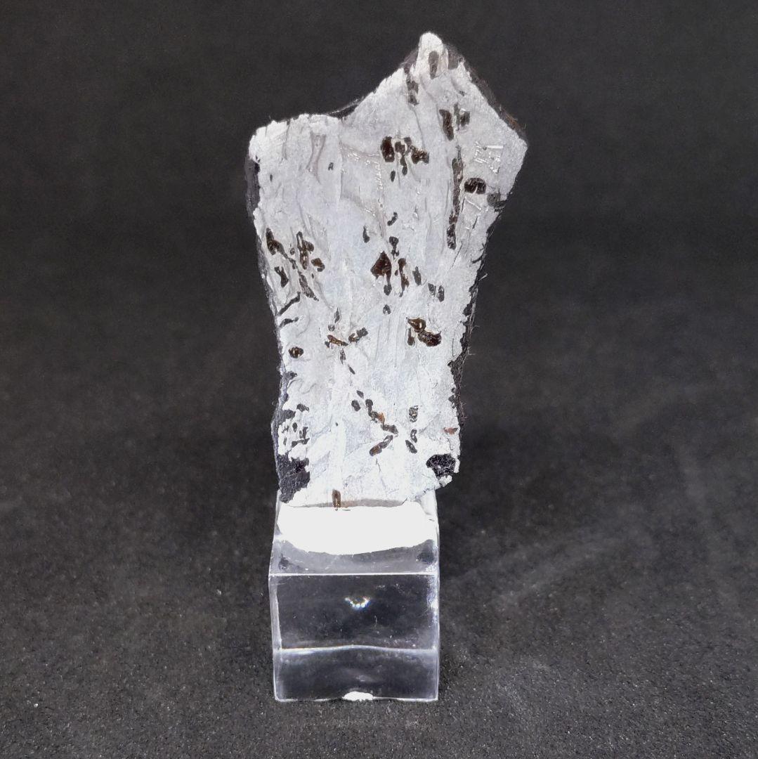 ギベオン隕石　(スライス)　8.8g