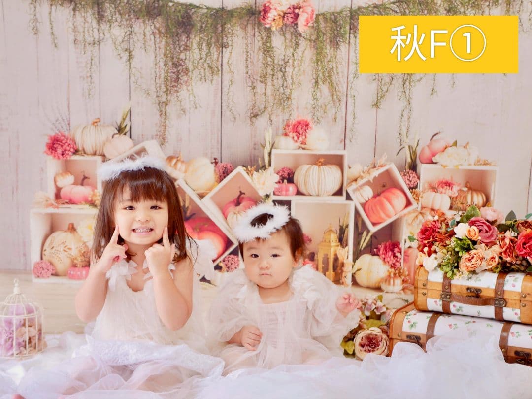 背景布【秋H】サンプル　9月お月見、ペット、トリミング撮影用　パンパスグラス