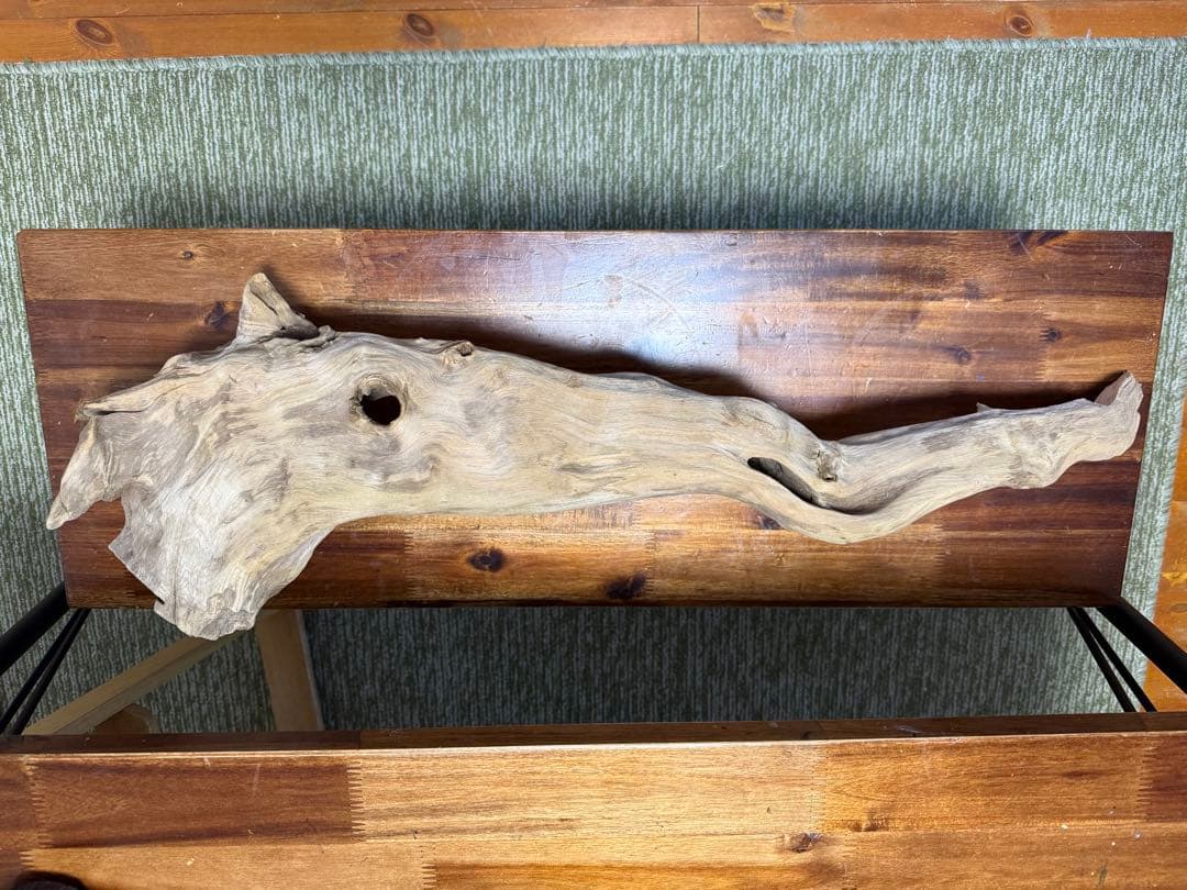 ADA ホーンウッド　2本セット　特大　送料無料