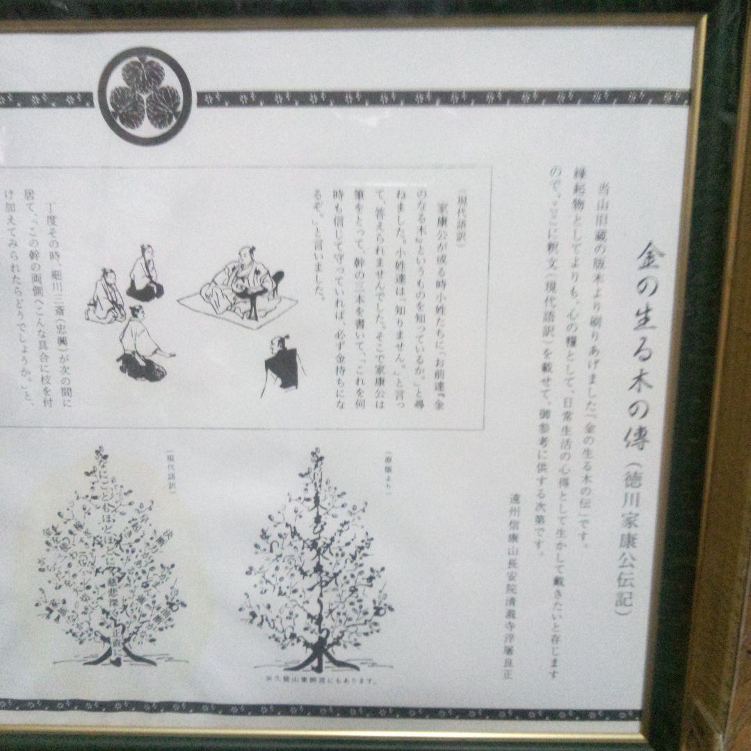 徳川家康公のお金の成る木