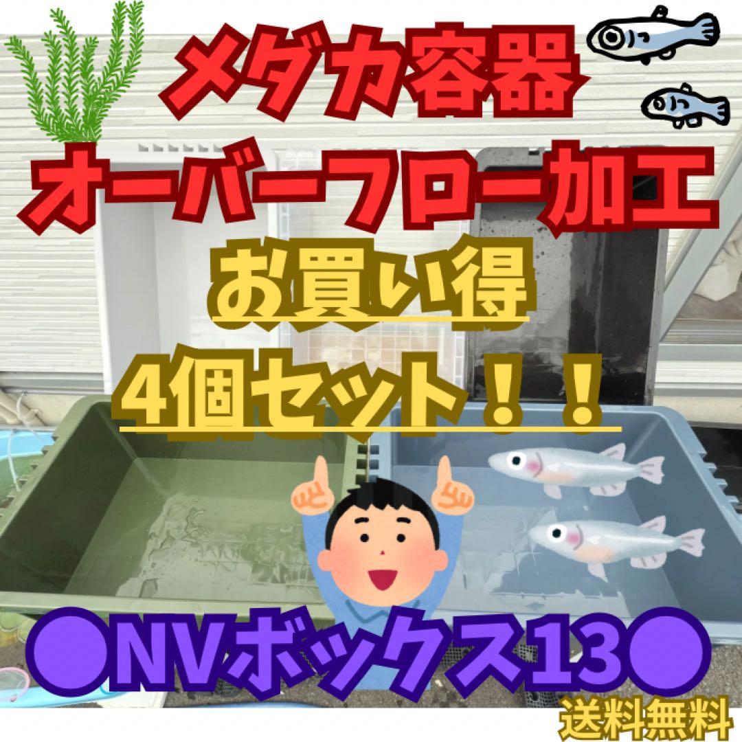★お買い得★NVBOX13 オーバーフロー容器 4個セットめだか飼育 容器トロ舟