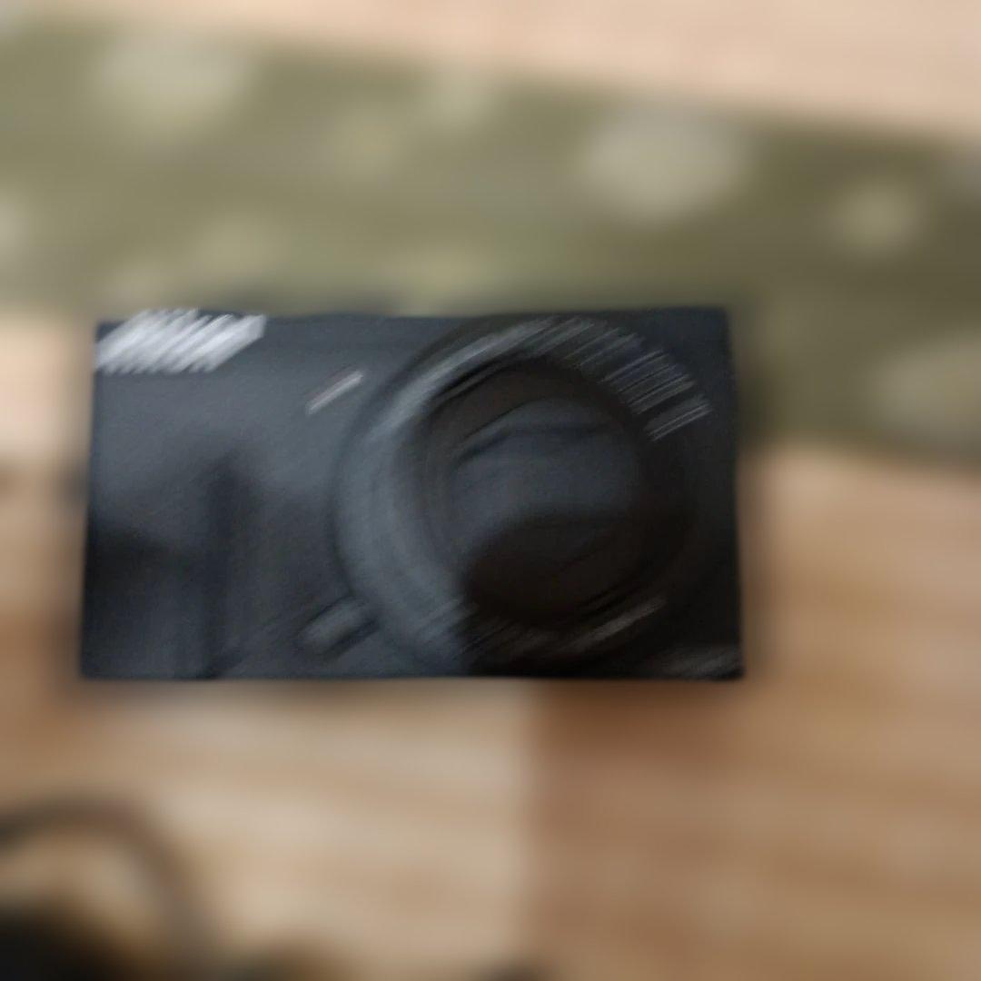145,COOLPIX　p310