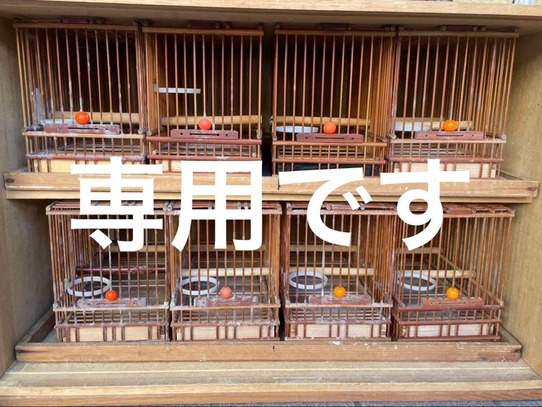 ガックン
