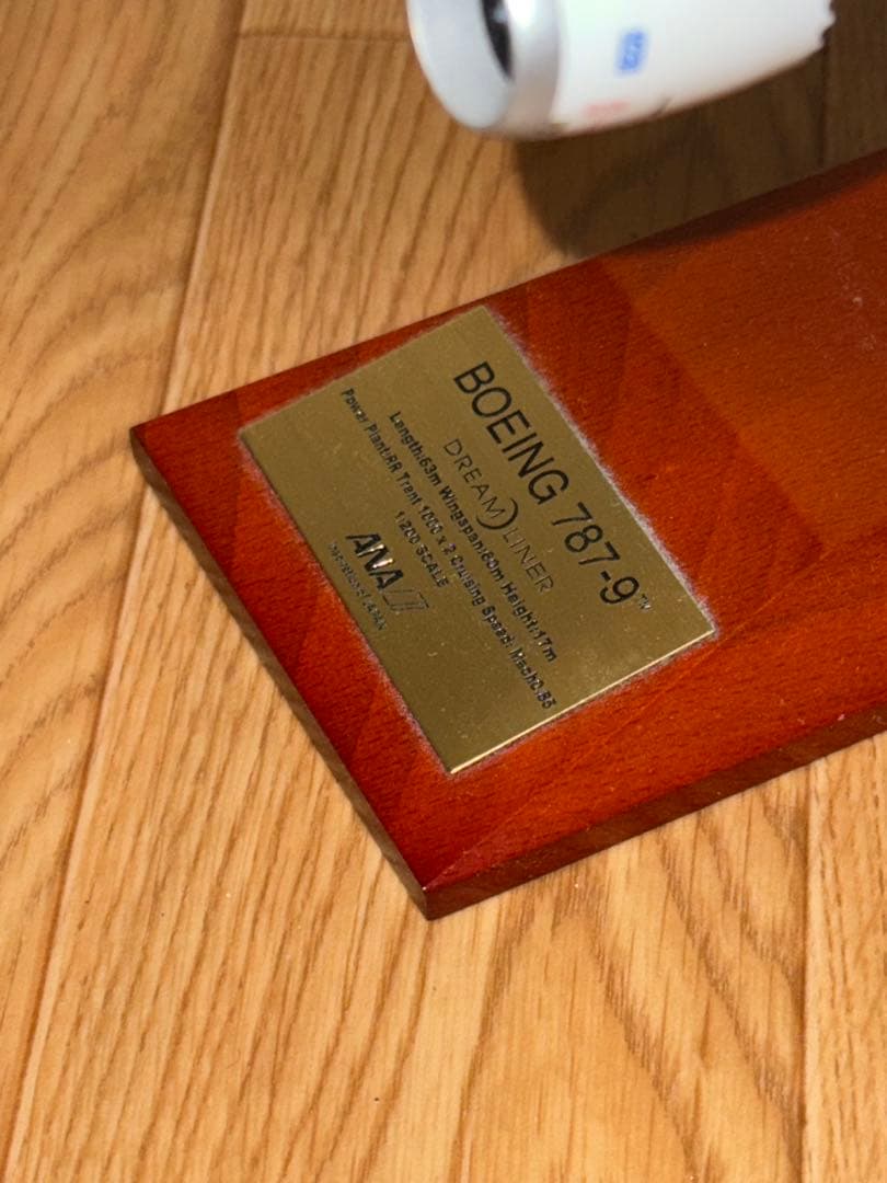 ANA モデルプレーン 787-9 1/200 完成品