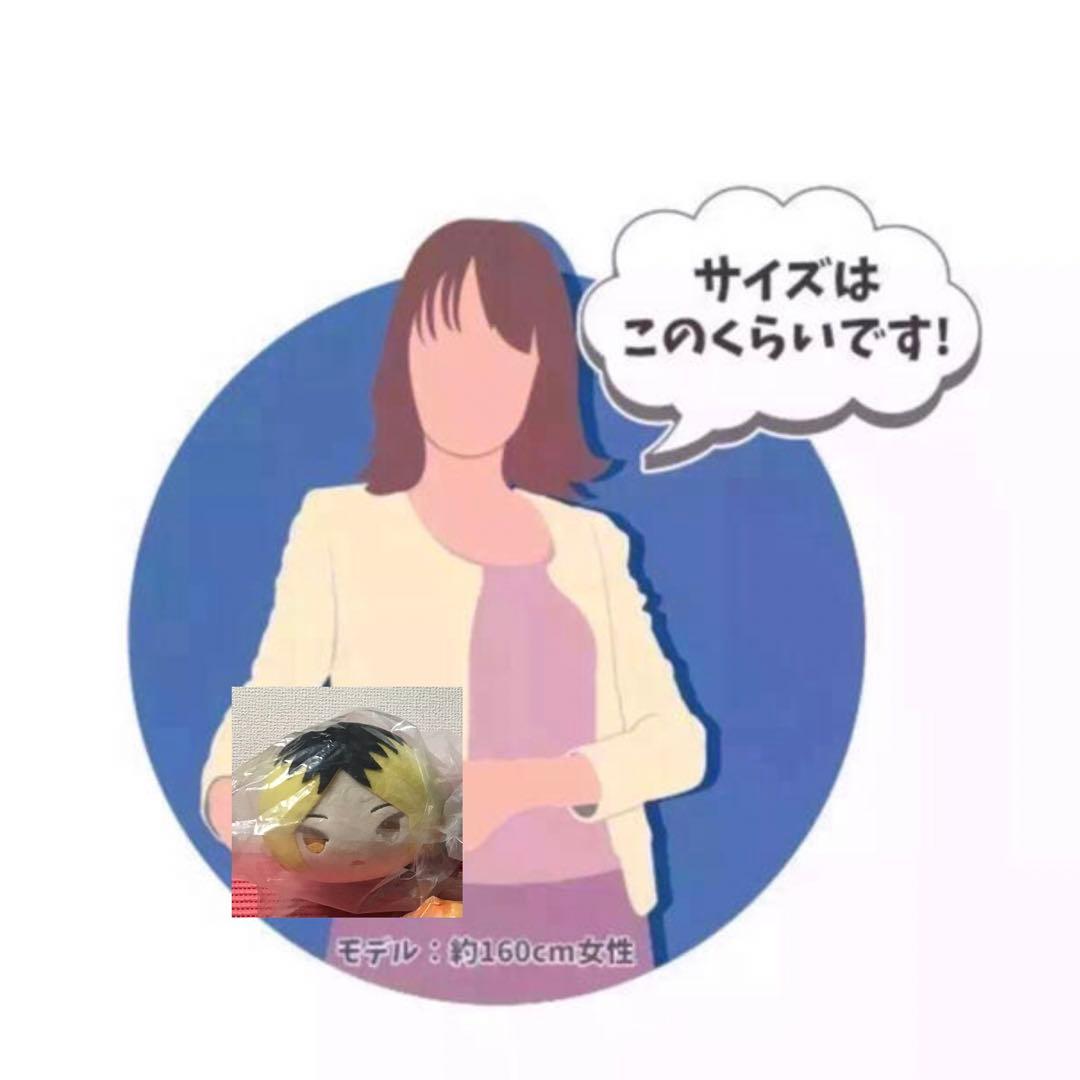 ハイキュー(11)《アニメイト限定　もちもちマスコットMS》