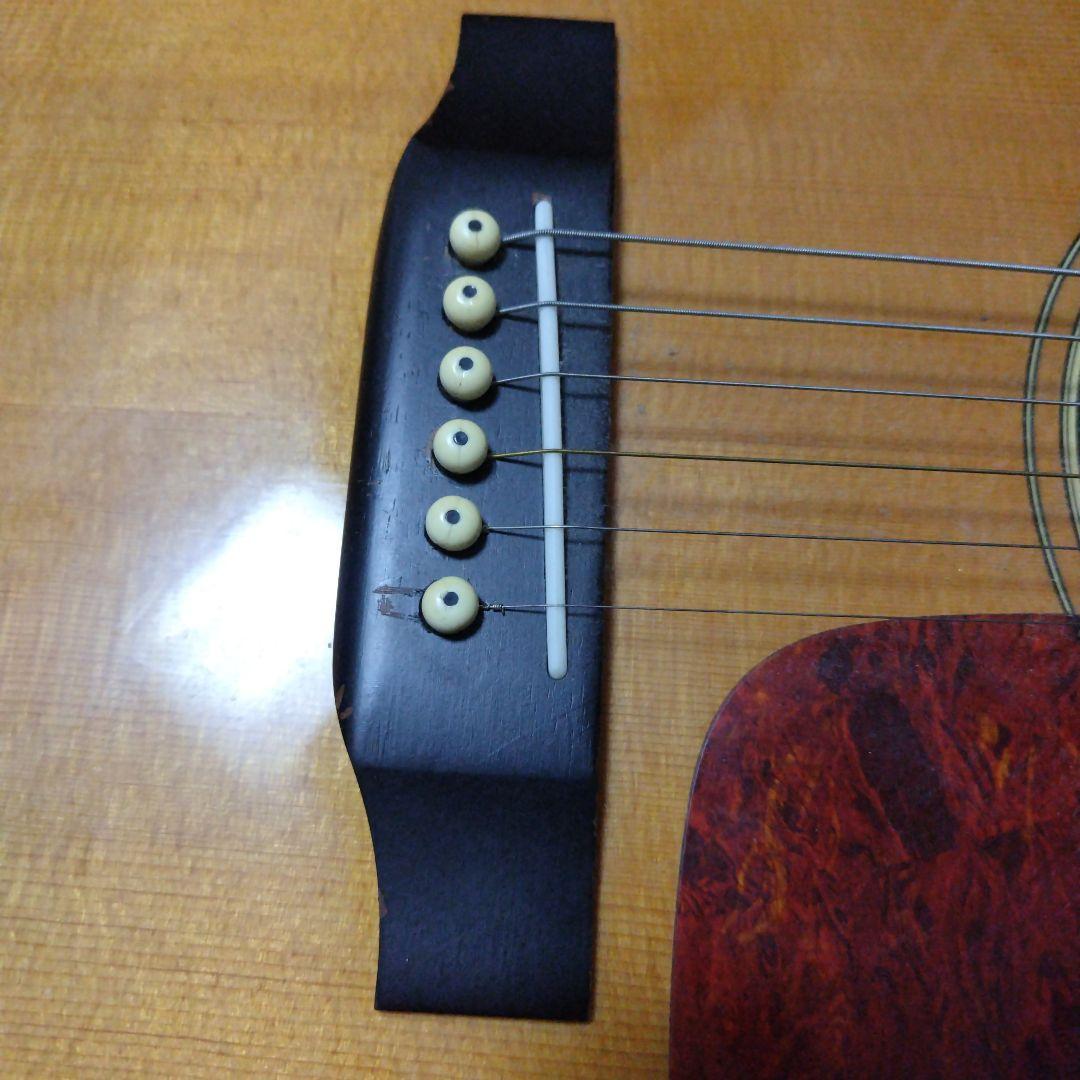 ギター Morris